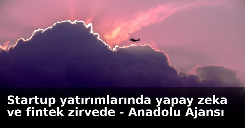 Startup yatırımlarında yapay zeka ve fintek zirvede - Anadolu Ajansı